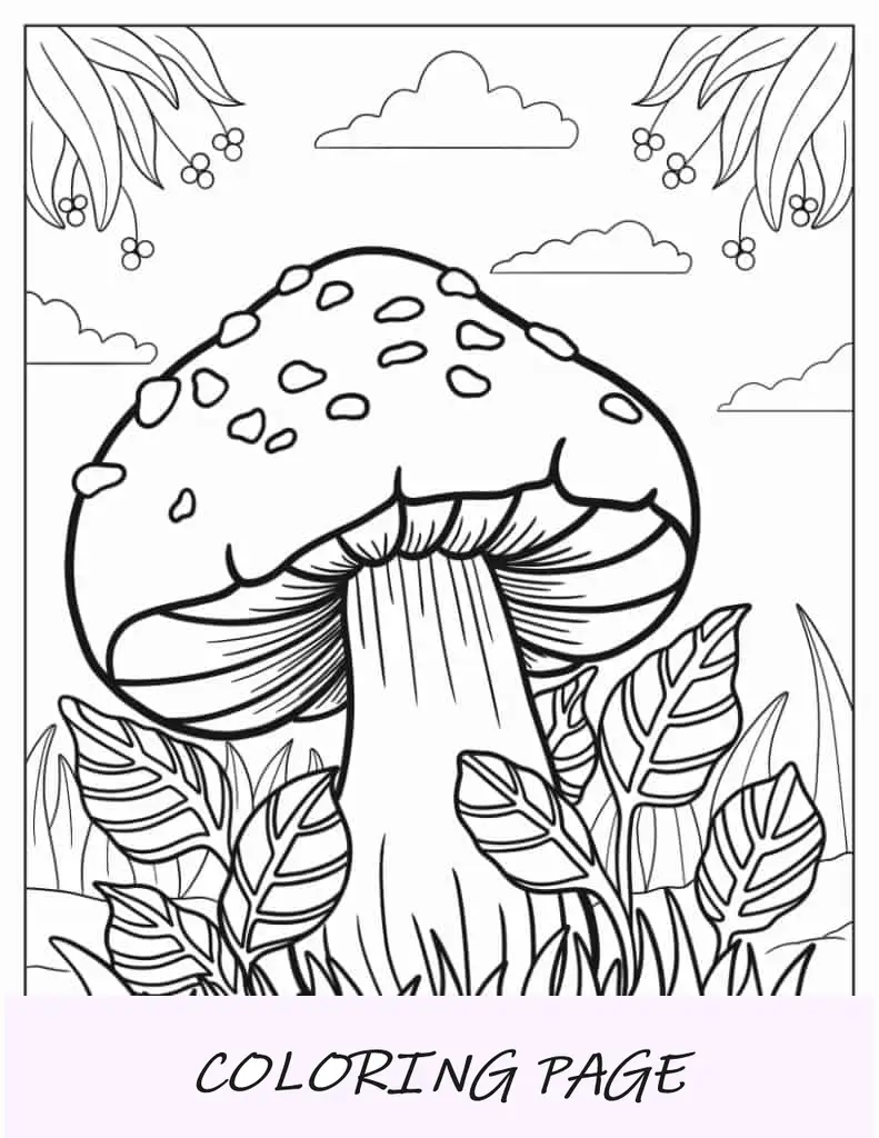 Hongos grandes que crecen en el bosque