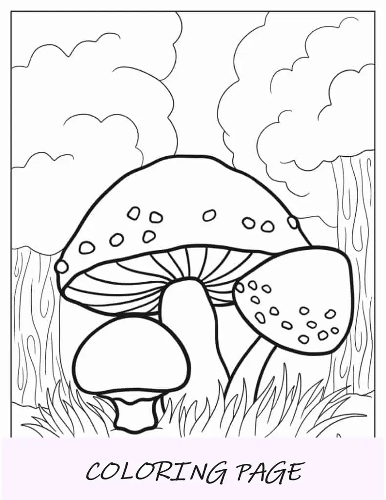 Setas Surtidas Para Colorear