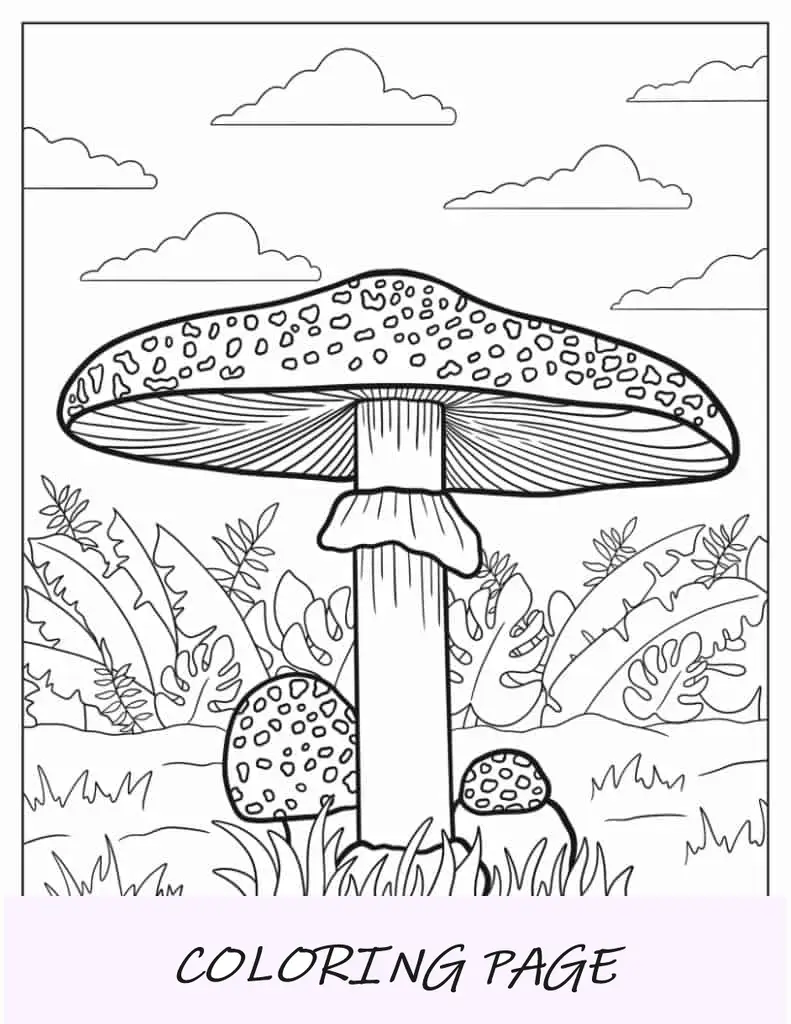 Agárico De Mosca Hongo Rojo Y Blanco Para Colorear