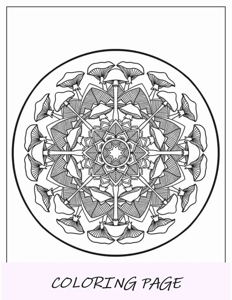 Mandala De Setas Para Colorear