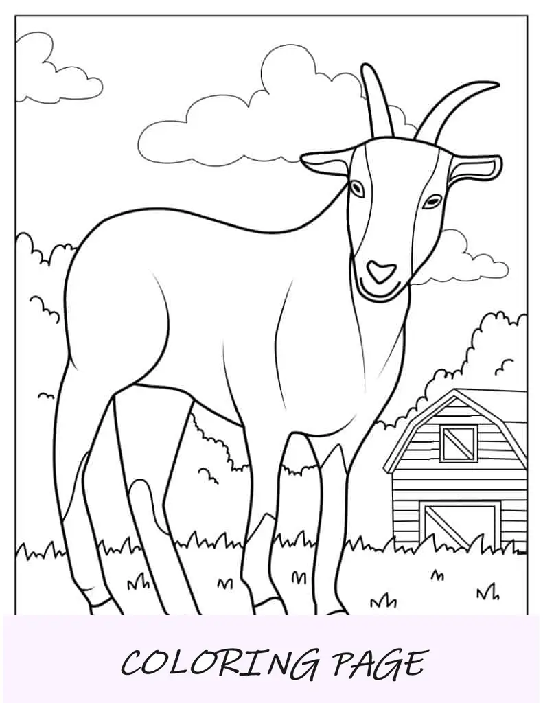 Cabra de fazenda com celeiro para colorir