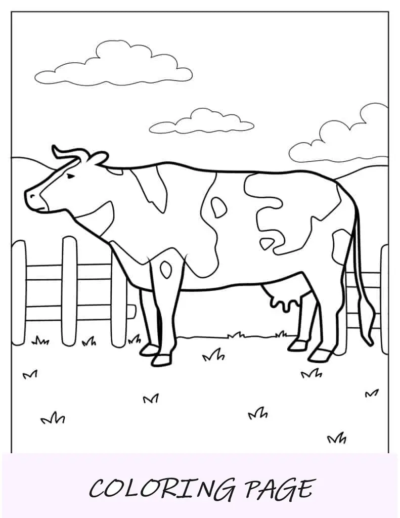 Vaca comum de fazenda