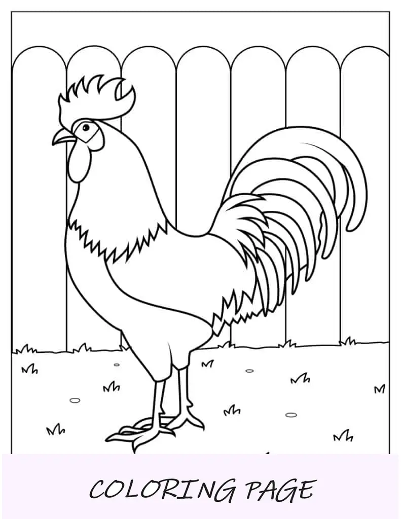Cabeça de galo de fazenda para colorir