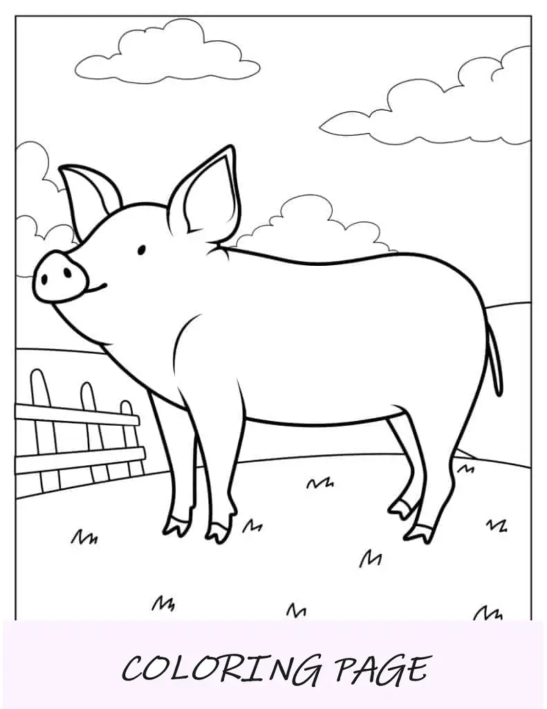Imagem fácil de colorir de um porco em uma fazenda
