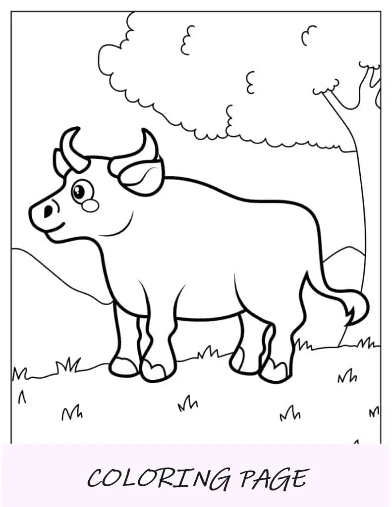 Contorno simples de um touro para colorir