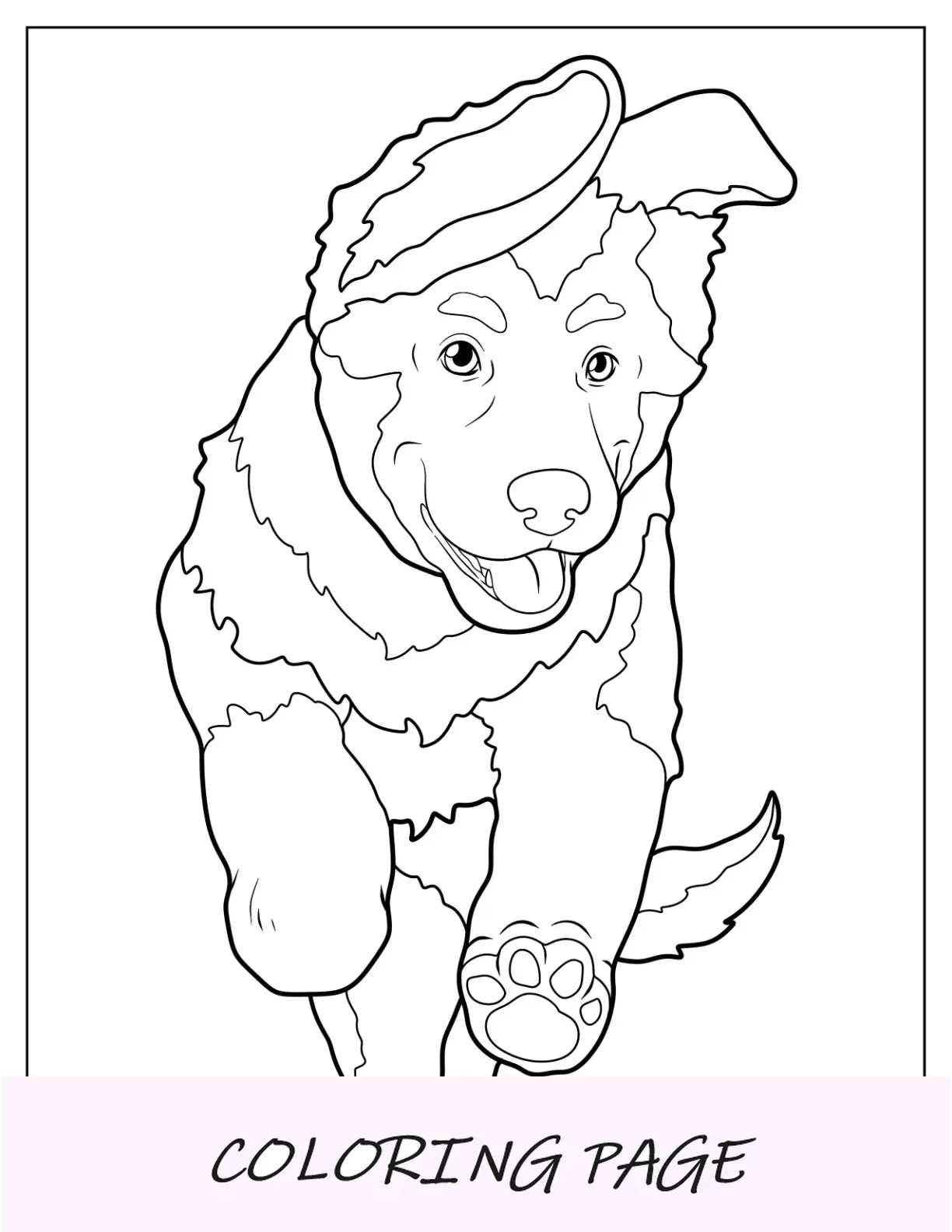 Desenho simples de um cachorro pastor alemão para colorir