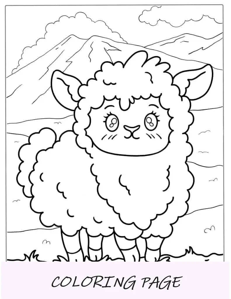 Coloração de ovelhas bebês Kawaii para crianças em idade pré-escolar
