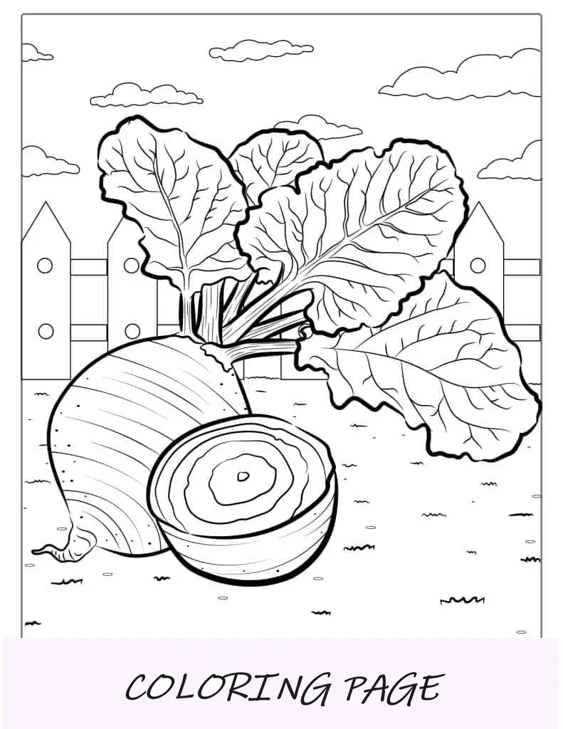 Hoja para colorear de remolacha