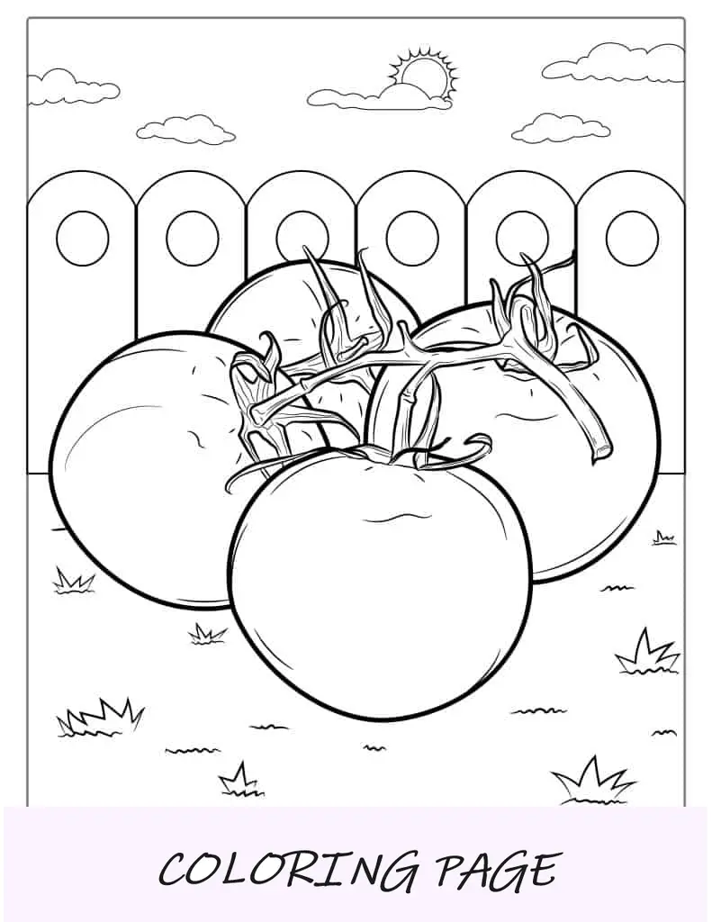 Tomates De Rama Página Para Colorear