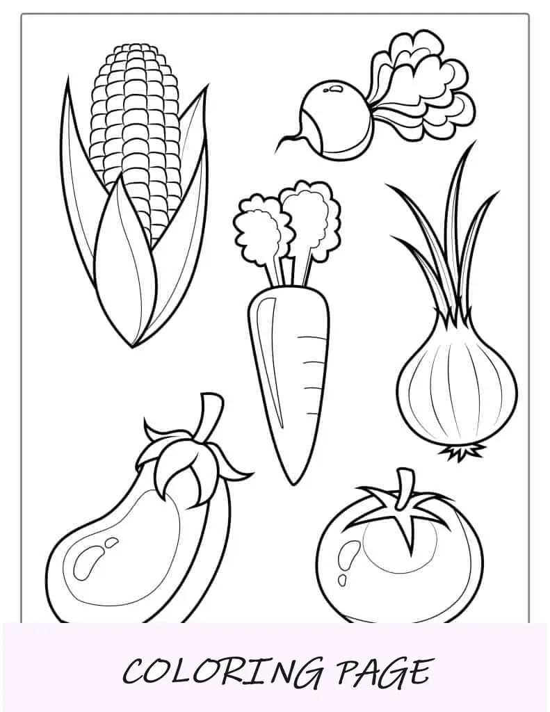 Esquema simple de verduras comunes para niños en edad preescolar