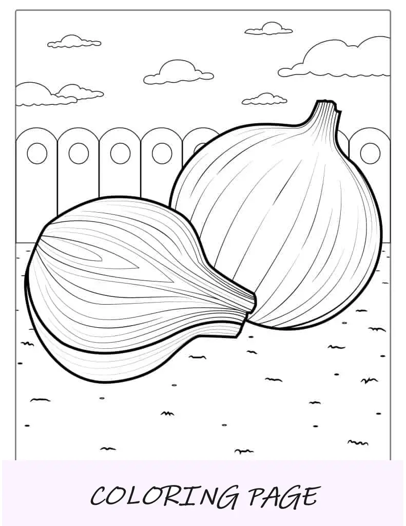 Cebollas Marrones Página Para Colorear