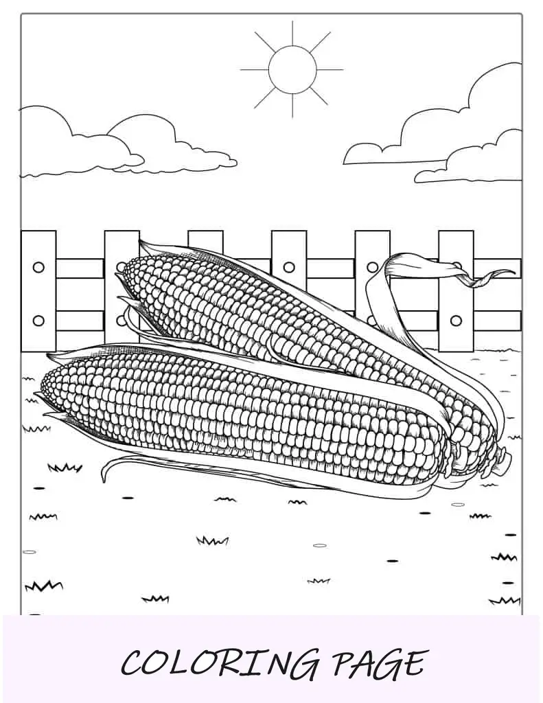 Página para colorear de mazorca de maíz