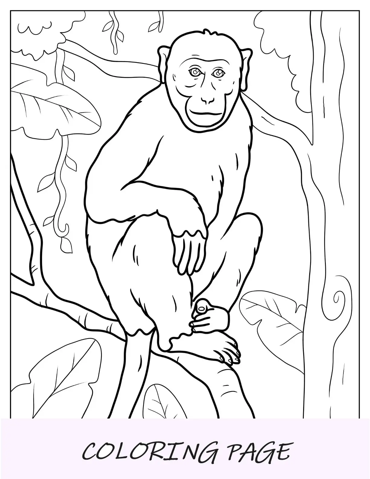 Página para colorir de macaco de macaco-bonnet empoleirado em um galho