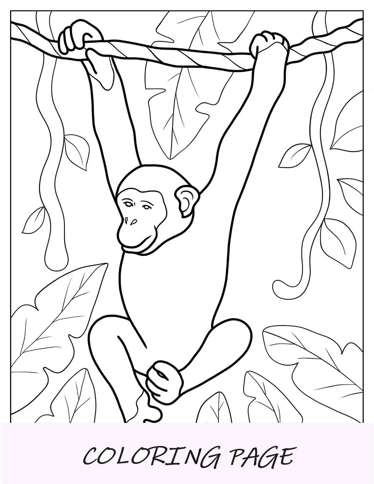Página para colorir de macaco realista pendurada em um galho de árvore