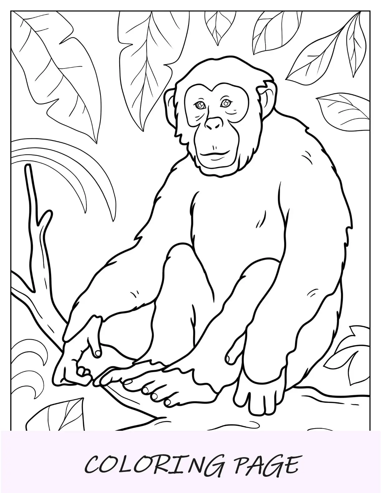 Página para colorir de macaco de jovem chimpanzé