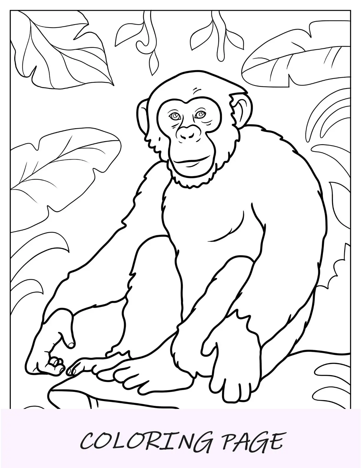 Página para colorir de macaco de um chimpanzé sorridente em uma rocha
