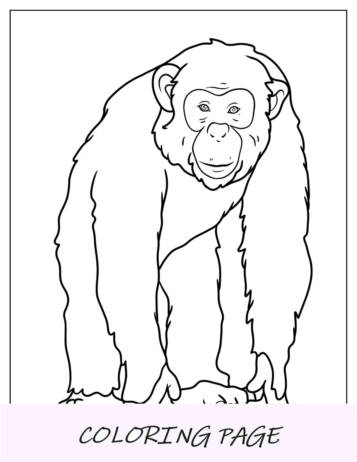 Página para colorir de macaco de jovem chimpanzé realista