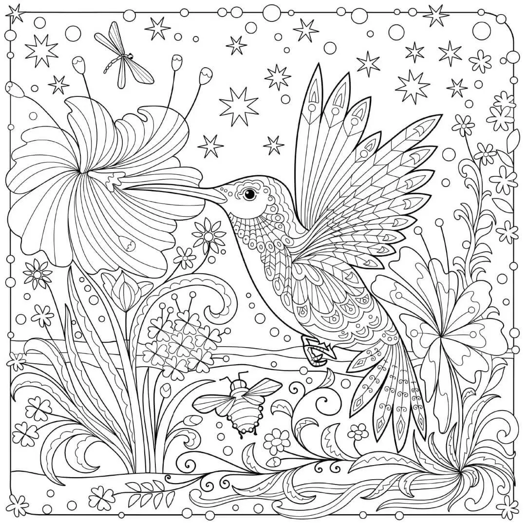 Hummingbird Coloring Pages For Adults