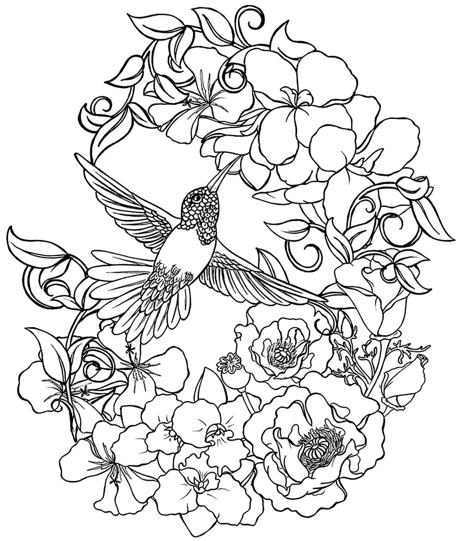 Hummingbird And Flowers Coloring Pages