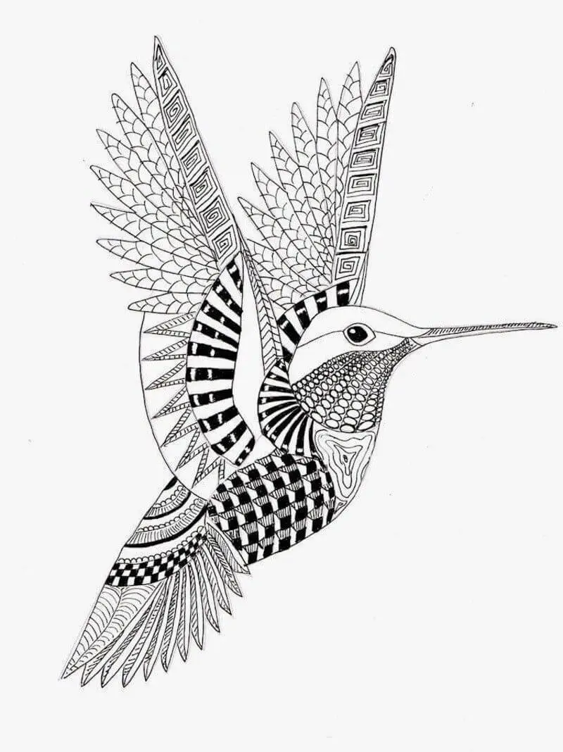 Zen Hummingbird Coloring Pages