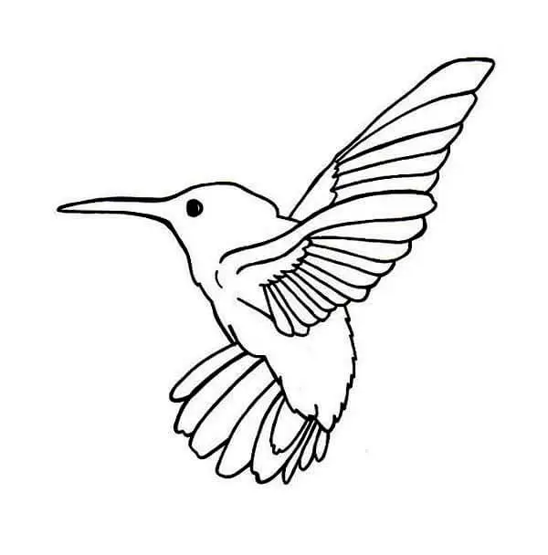 Simple Hummingbird Coloring Pages