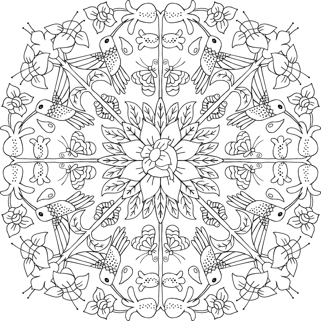 Hummingbird Animal Coloring Pages