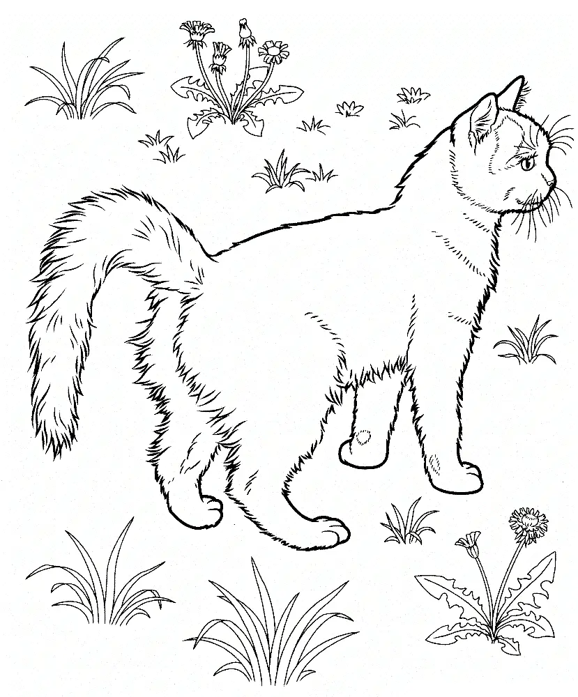 Cat With Wings Art Coloring Page