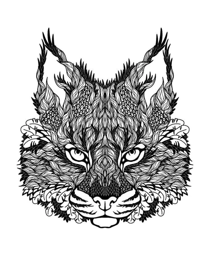 Hard Cat Coloring Pages For Adults
