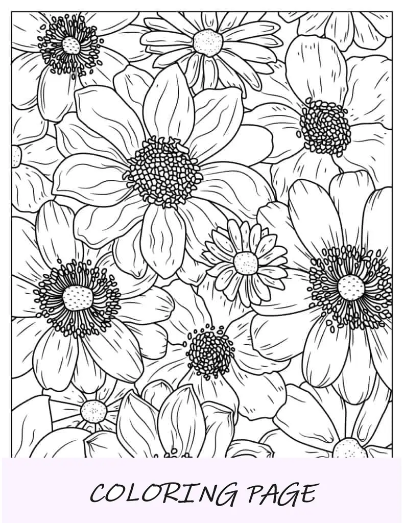 Página inteira de margaridas detalhadas para colorir
