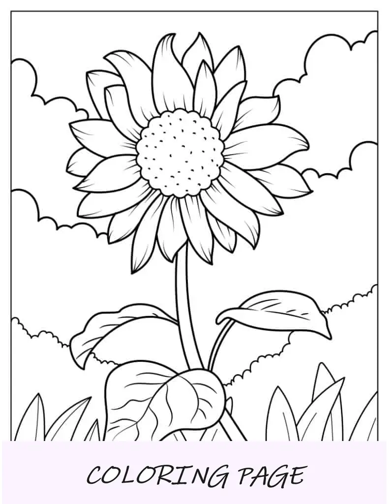 Página para colorir de flor margarida para crianças