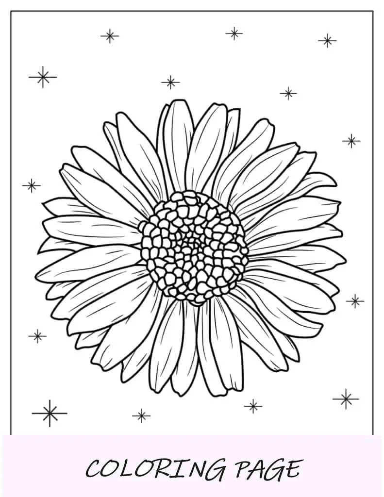 Flor margarida realista para colorir