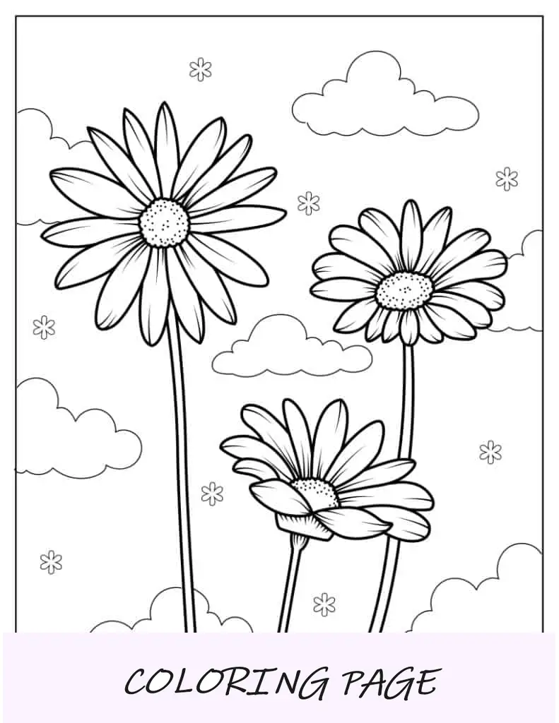 Três lindas flores margaridas nas nuvens