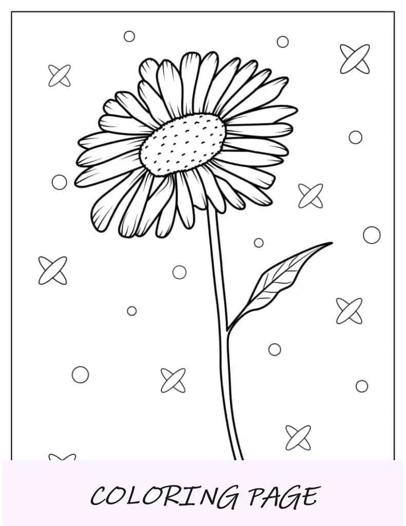 Contorno simples de uma margarida para colorir