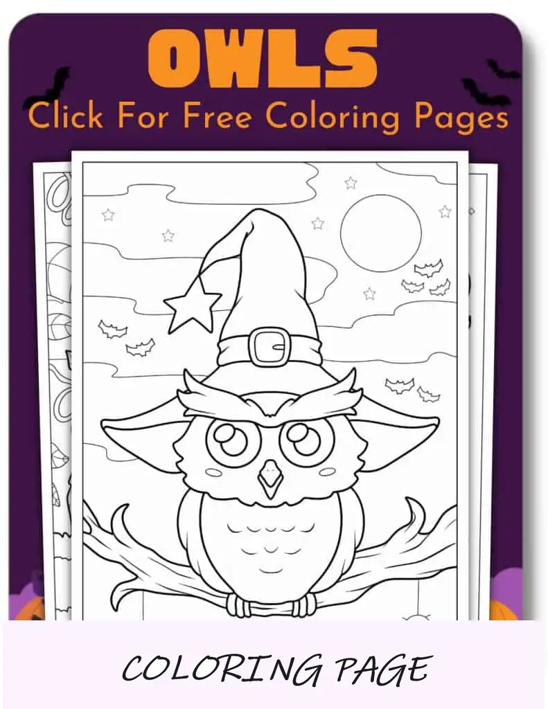Desenhos para colorir de Halloween de corujas