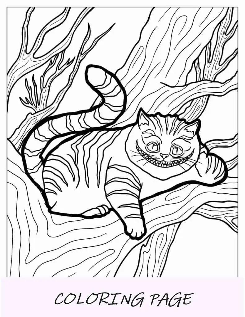 Gato Cheshire detalhado para colorir