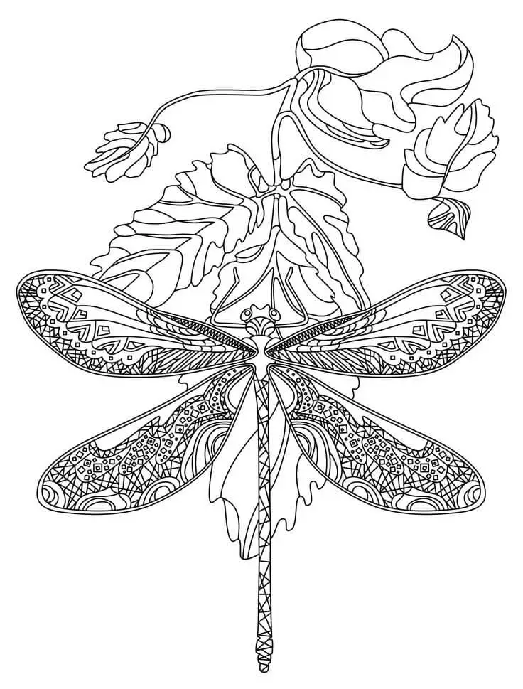 Adult Coloring Dragonfly