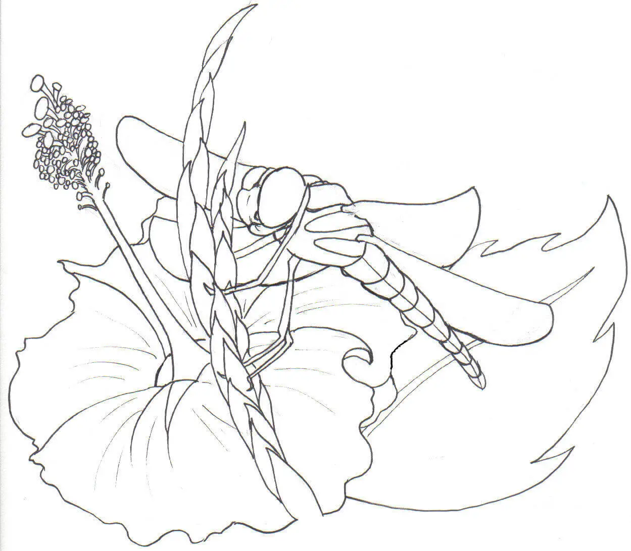 Dragonfly On Flower Coloring Page