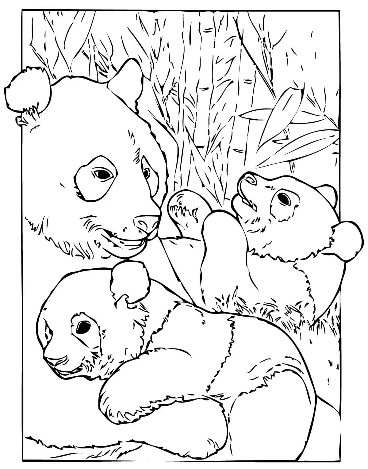 Realistic Panda Coloring Pages