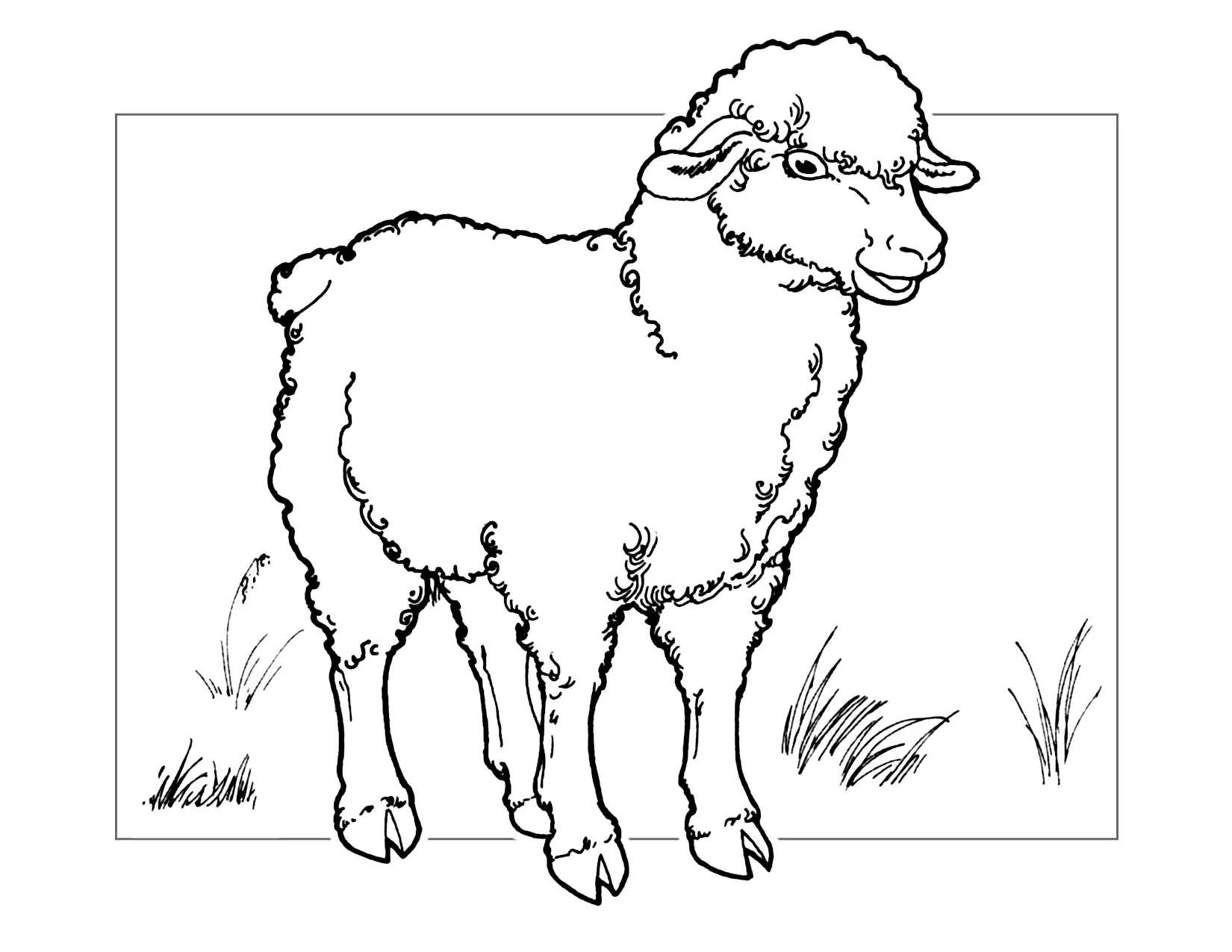 Sheep Coloring Page