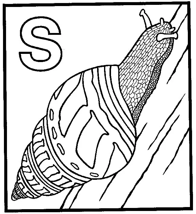 Easy Snail Coloring Pages