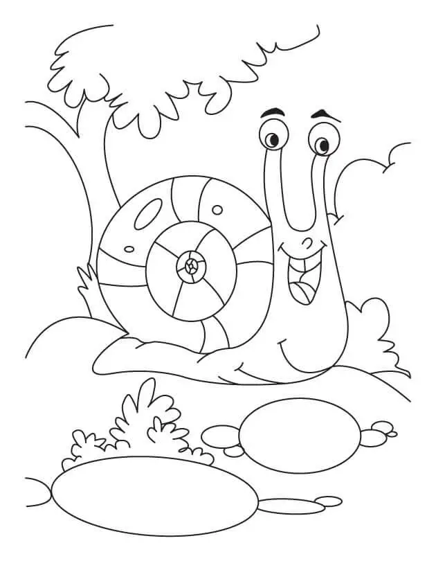 Snail In Nature Coloring Page