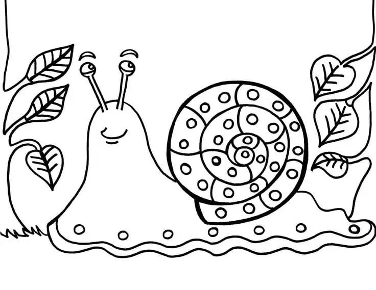 Snail Coloring Page For Kids