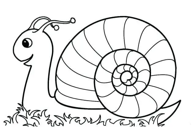 Snail Coloring Page