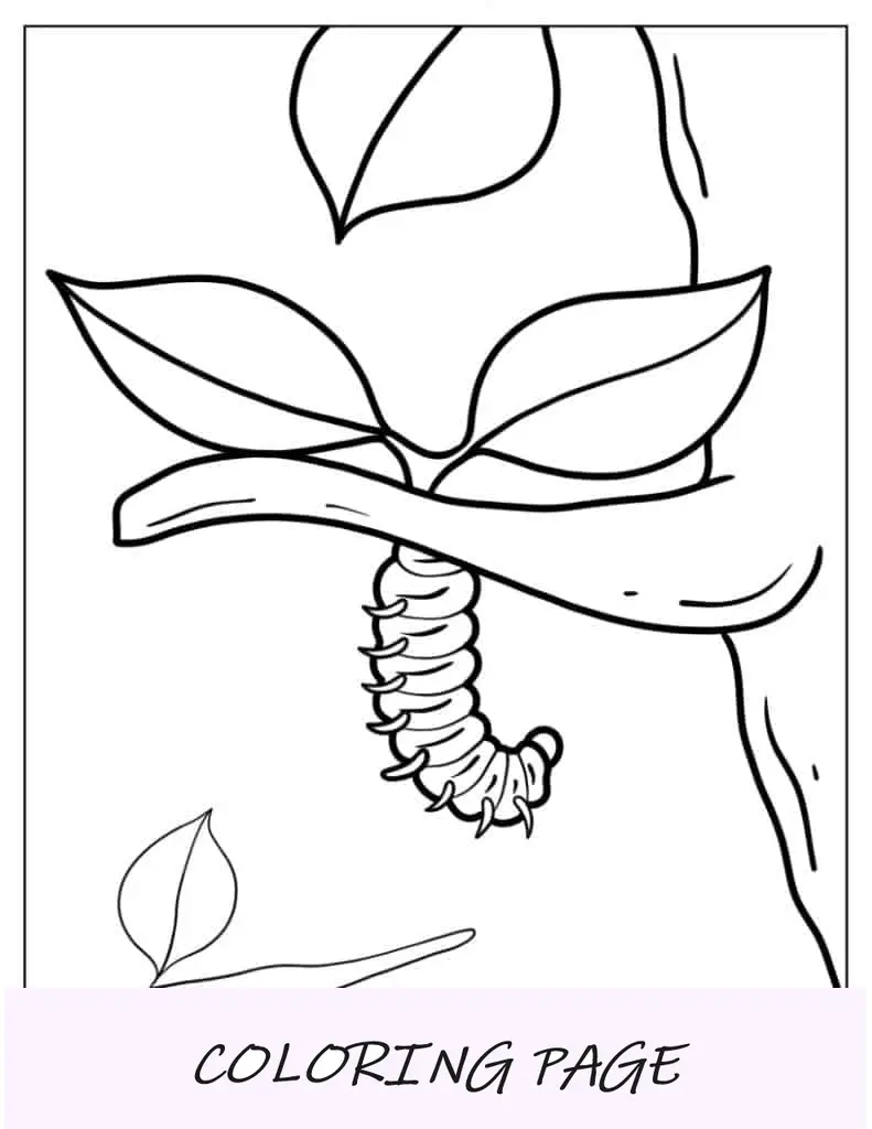 Pagina da colorare di bruco appeso all'albero