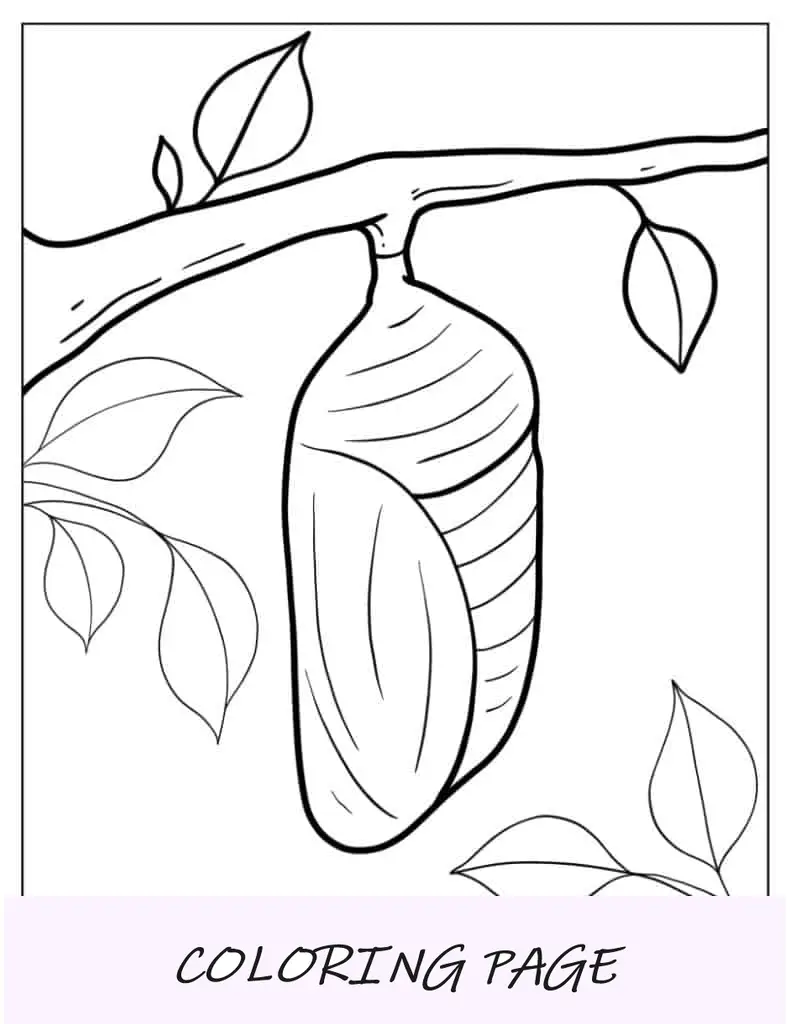 Foglio da colorare di Caterpillar Cocoon