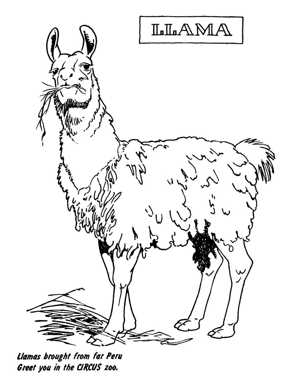 Circus Llama Coloring Page