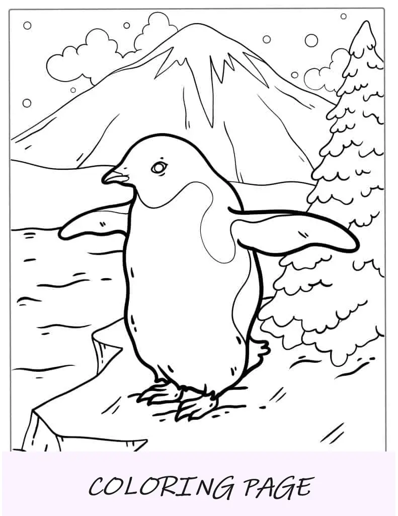 Página para colorir de pinguim de barbicha para crianças