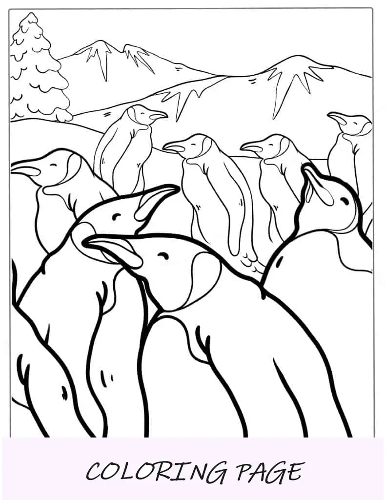 Colorir Colônia de Pinguim Imperador