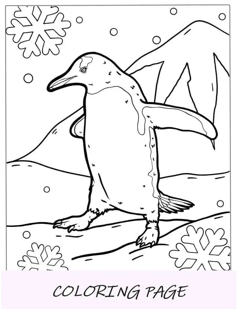 Página para colorir de pinguim fofinho