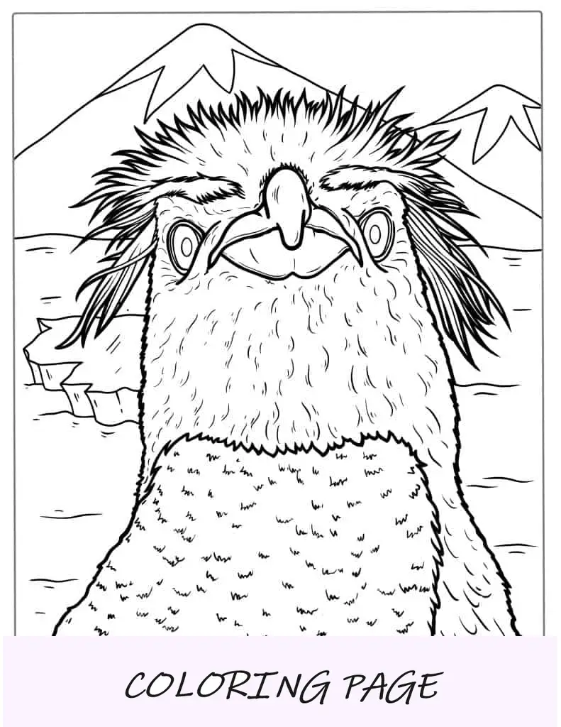Página detalhada para colorir do pinguim de Fiordland
